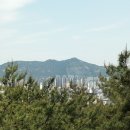 홍릉초교 이미지