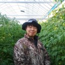 힘찬농장 이미지