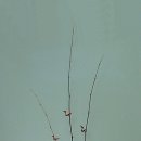 사랑 스케치 이미지