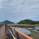 치유의 바람 이미지