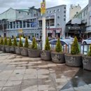 탐라문화광장 이미지