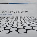 [국도1] 세종시 석곡리