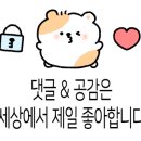 스테이인 1025 이미지