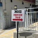 (주)연일정보통신 | 뽈불고기가 맛있는 포항 로컬 맛집 내돈내산 추천 후기_포항 연일개미집(ft. 웨이팅, 주차)