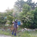 약대농장 이미지