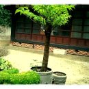 금강여관 이미지