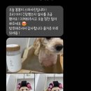 쁘띠그루밍 이미지