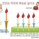 촛농받침대(일명: 케익 보디가드)=보완 이미지