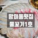 물꼬기1호 | 연예인도 오는 망미동횟집 물꼬기1호
