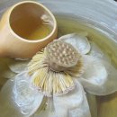 연꽃유치원 이미지