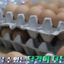 장씨농장 이미지