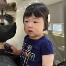 예사랑아동병원 | +297 아기접촉성피부염, 예사랑아동병원, 잼먹퓨레, 맘마유이유식밀키트, 에첸엠파자마