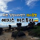 대만 예지스 버스투어 오후 3시 출발/ 짧은 일정이라면 효율적으로