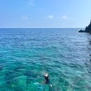 울릉다이버리조트 이미지