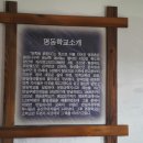 천지항공여행사 이미지