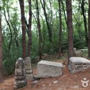 비바 서울(BIBA SEOUL) 이미지