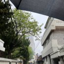 군산 순돌이곱창 내돈내산 오픈런 꿀팁 메뉴판 웨이팅 주차