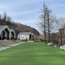 메리도그하우스 이미지