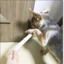 살랑가협동조합 이미지