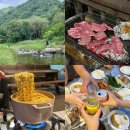 무릉도원면-26 이미지