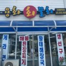 용화물회 | [삼척] 용화 물회 용화해수욕장 맛집 내돈내산 후기_삼척 오징어물회