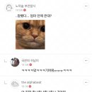 현웃터짐으로 연어해본 여시캡쳐 7탄 이미지