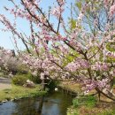 상동시민의강 이미지