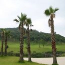 그레이스컨트리클럽 이미지