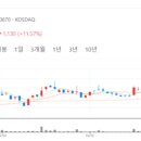 IB 소프트 이미지