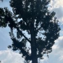 장말어린이공원 이미지