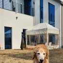 스테이 뭉구 이미지