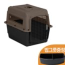 소문켄넬 이미지