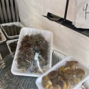 치키치키통닭 이미지