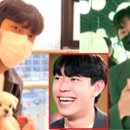 마기꾼 인사이트