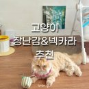 카라 | 고양이 환장하는 마따따비 장난감, 넥카라후기ㅣ노피노리