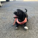 리우네단체키즈풀빌라 이미지