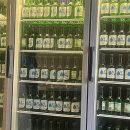 오렌지게스트하우스 | 파티 좋아한다면 무조건 여기! 부산 게스트하우스 부산역 오렌지게스트하우스파티