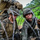 한미2차 이미지