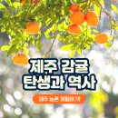 제주야컴퍼니