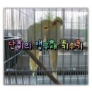 대구애견조류원 이미지