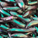 방배로28길 25 이미지