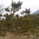 (주)주당 이미지