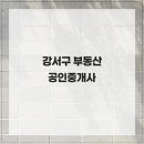 마곡하나공인중개사사무소 네이버블로그