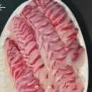 남양주 실내바다낚시터