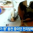 007전자 이미지