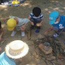 놀이터Ⅱ 이미지