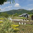 큰맘할매순대국 영월남면점 이미지