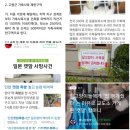 🈲️계속되는 길'고양이 확대..."급식소 인식 개선 등 대책필요.🏡 건축물 소유자 와 건물 관리자는 위험발생 제거의 의무가 있다. 이미지