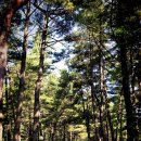 나리 야영장 옆 이미지