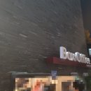 박영수 | 대학로 연극 뮤지컬 매드해터 관람 후기｜박영수·이한솔 배우 회차